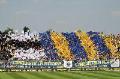 Serie B - Livorno-Brescia: risultato e marcatori